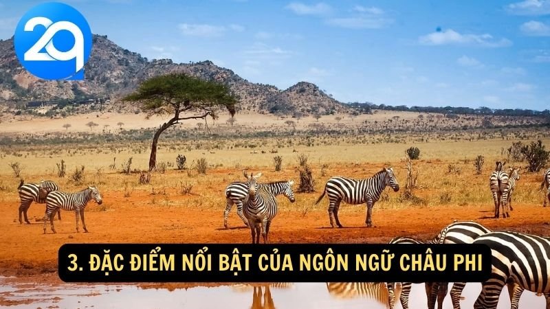 Ngôn ngữ Châu Phi: Đa dạng và vai trò quan trọng trong văn hóa với 2q 4 3. Đặc điểm nổi bật của ngôn ngữ châu Phi