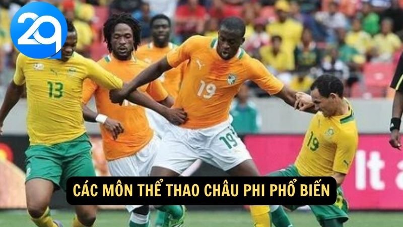 Thể thao Châu Phi: Điểm mặt những sự kiện và nổi bật ở khu vực này với 2q 3 Các môn thể thao châu Phi phổ biến