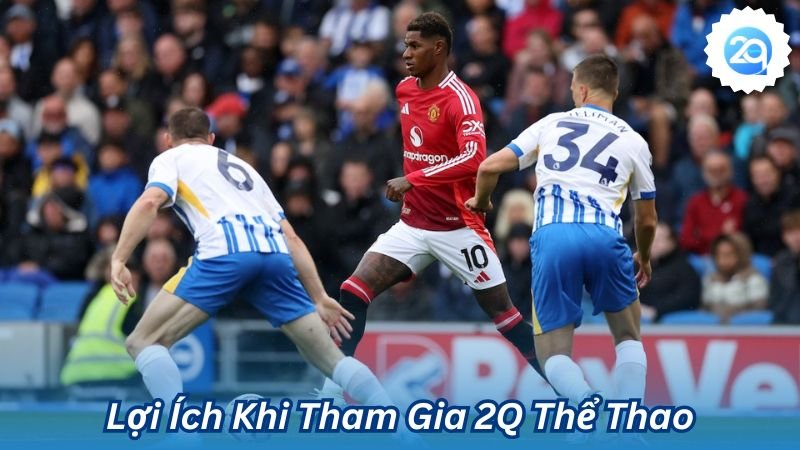 2q - 2Q Thể Thao Mang Đến Một Sân Chơi Cực Kỳ Năng Động 3 Lợi Ích Khi Tham Gia 2Q Thể Thao