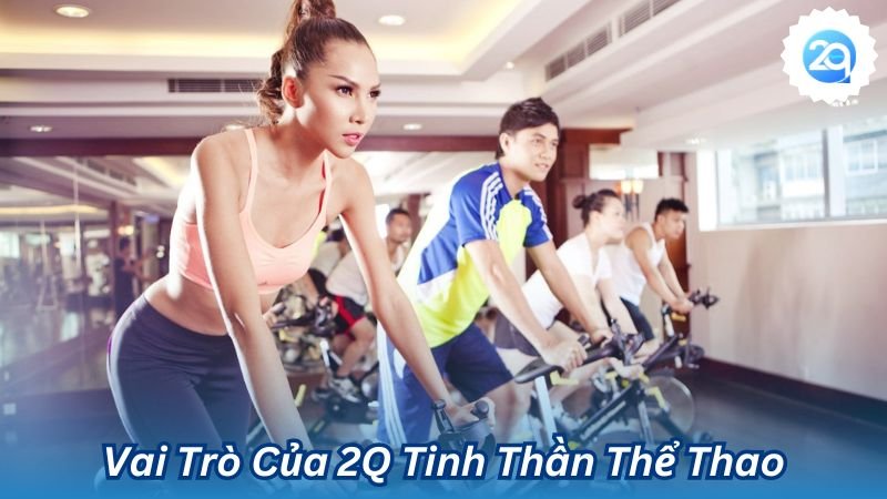 2q - 2Q Tinh Thần Thể Thao, Những Giá Trị Tinh Thần Mãi Bền 3 Vai Trò Của 2Q Tinh Thần Thể Thao