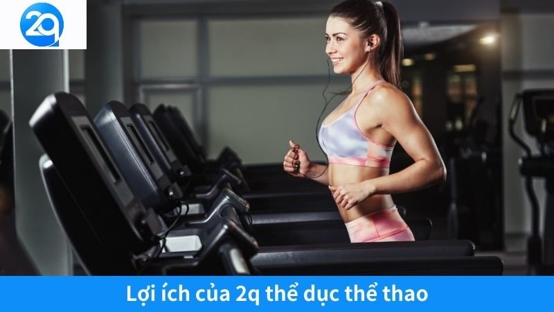 2Q Thể Dục Thể Thao: Chìa Khóa Vàng Cho Cuộc Sống Khỏe Mạnh 3 Lợi ích của 2q thể dục thể thao