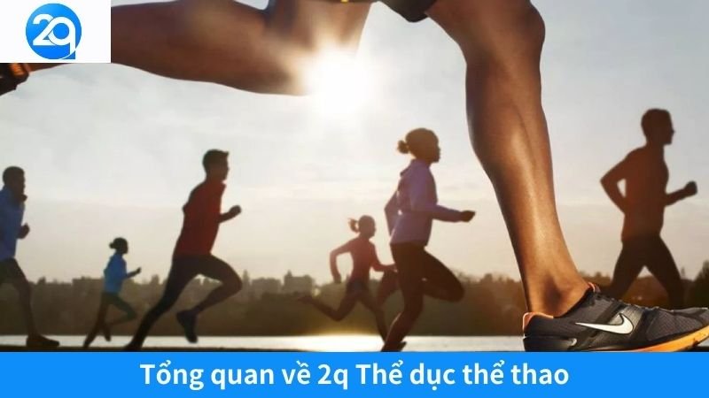 2Q Thể Dục Thể Thao: Chìa Khóa Vàng Cho Cuộc Sống Khỏe Mạnh 2 Tổng quan về 2q Thể dục thể thao