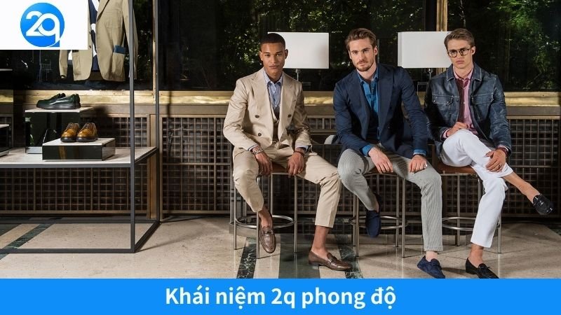 2Q Phong Độ: Chìa Khóa Thành Công Trong Cuộc Sống Hiện Đại 2 Khái niệm 2q phong độ