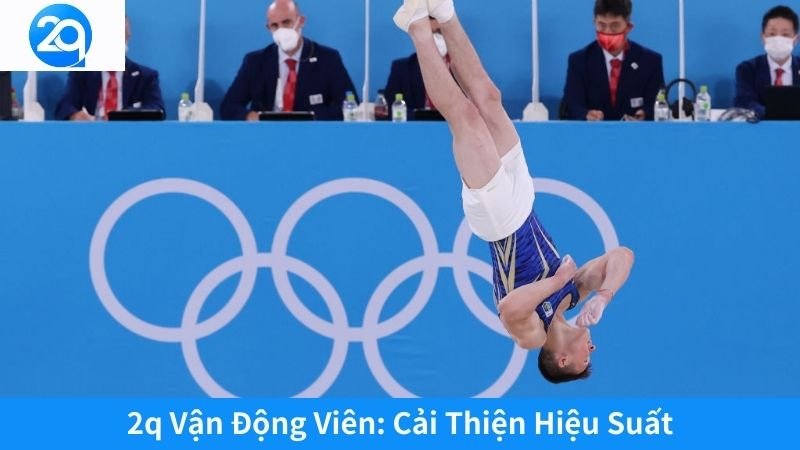 2q Vận Động Viên: Nền Tảng Mới Cho Kết Nối Và Phát Triển 4 2q Vận Động Viên: Cải Thiện Hiệu Suất