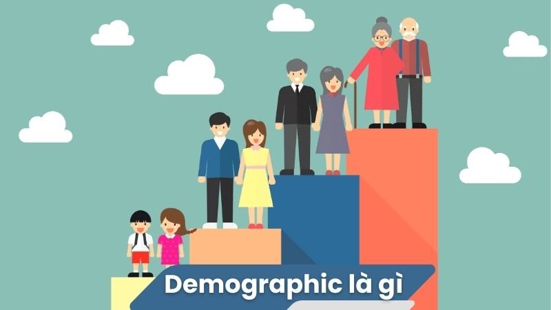 Demographic là gì? 2 Demographic là gì?
