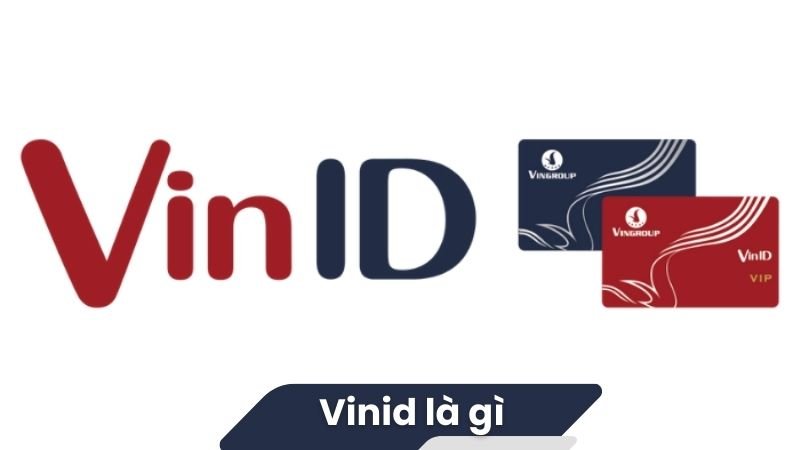 VinID là gì? 2 VinID là gì?