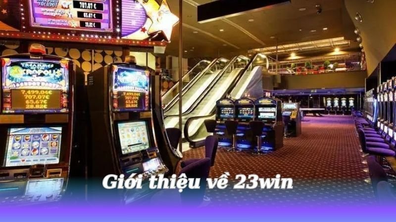 23win - Hệ thống cá cược thông minh, minh bạch 2 gioi-thieu-ve-23win