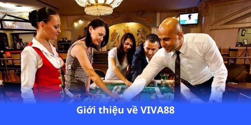 VIVA88 - Cá cược online an toàn, giải trí đỉnh cao 2 gioi-thieu-ve-viva88